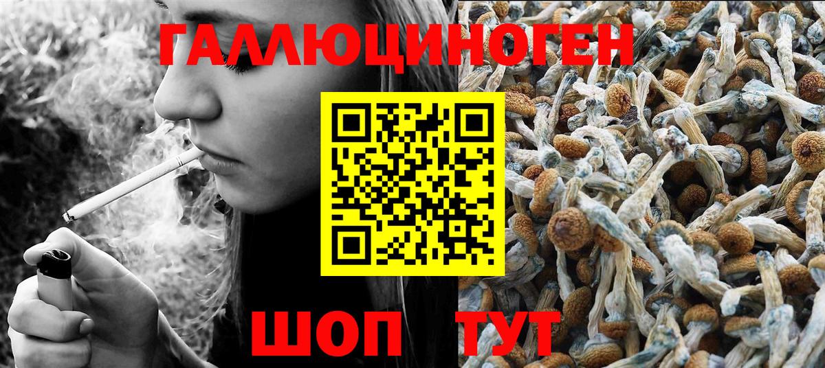 Губкинский  Галлюциногенные грибы Cubensis  Вход с VPN 